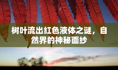 樹葉流出紅色液體之謎，自然界的神秘面紗