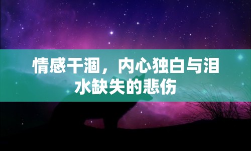 情感干涸，內(nèi)心獨白與淚水缺失的悲傷