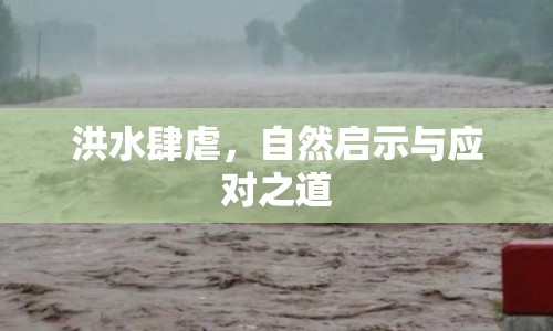 洪水肆虐，自然啟示與應(yīng)對之道