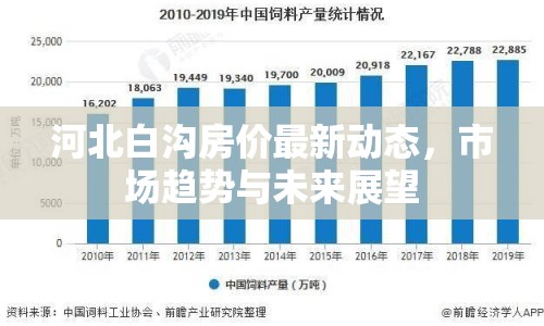 河北白溝房價最新動態(tài)，市場趨勢與未來展望