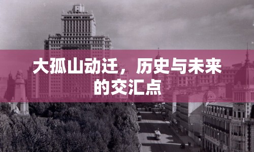 大孤山動遷，歷史與未來的交匯點