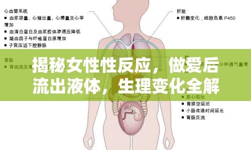 揭秘女性性反應，做愛后流出液體，生理變化全解析