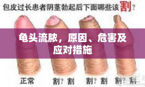 龜頭流膿，原因、危害及應(yīng)對措施