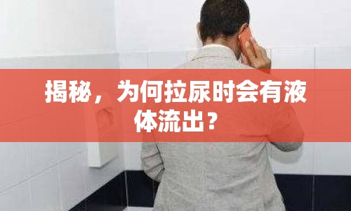 揭秘，為何拉尿時(shí)會(huì)有液體流出？