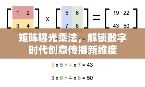 矩陣曝光乘法，解鎖數(shù)字時代創(chuàng)意傳播新維度