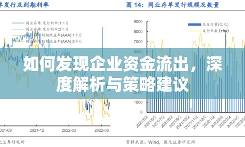 如何發(fā)現(xiàn)企業(yè)資金流出，深度解析與策略建議