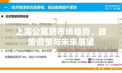 上海公寓房市場趨勢、政策調整與未來展望