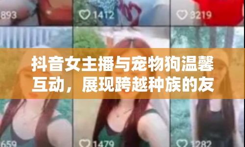 抖音女主播與寵物狗溫馨互動，展現(xiàn)跨越種族的友情