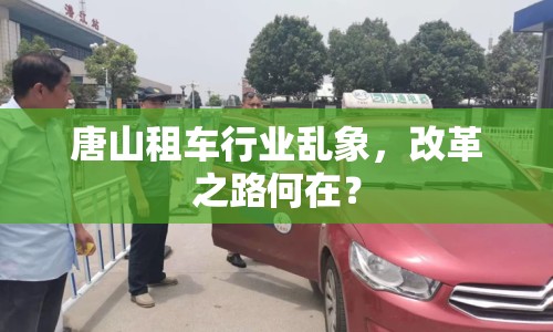 唐山租車(chē)行業(yè)亂象，改革之路何在？