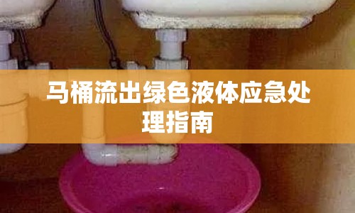 馬桶流出綠色液體應(yīng)急處理指南