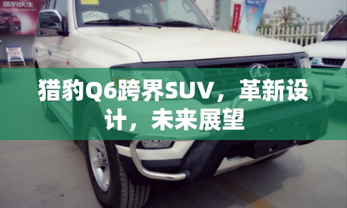 獵豹Q6跨界SUV，革新設(shè)計，未來展望