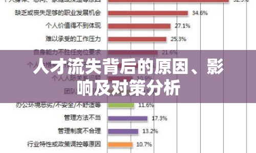 人才流失背后的原因、影響及對(duì)策分析