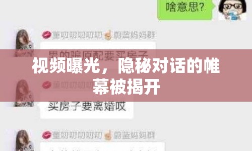 視頻曝光，隱秘對話的帷幕被揭開