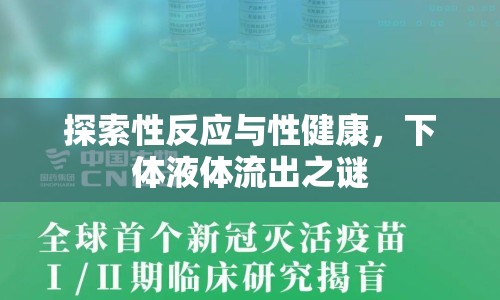 探索性反應(yīng)與性健康，下體液體流出之謎