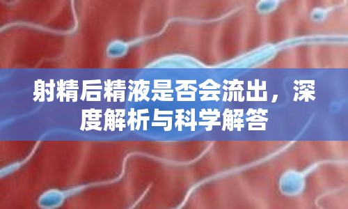 射精后精液是否會(huì)流出，深度解析與科學(xué)解答