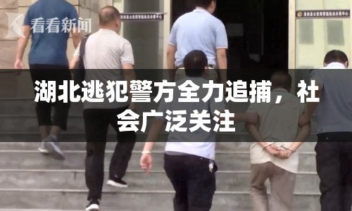 湖北逃犯警方全力追捕，社會(huì)廣泛關(guān)注