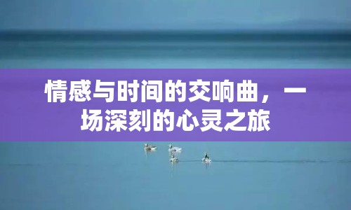 情感與時間的交響曲，一場深刻的心靈之旅