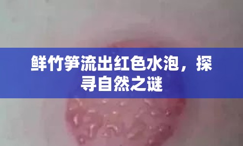 鮮竹筍流出紅色水泡，探尋自然之謎