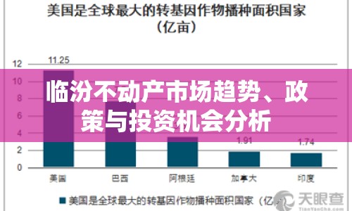 臨汾不動產(chǎn)市場趨勢、政策與投資機會分析