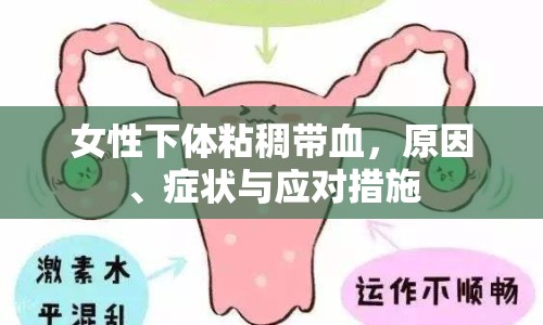 女性下體粘稠帶血，原因、癥狀與應(yīng)對措施