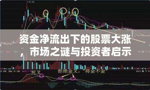 資金凈流出下的股票大漲，市場之謎與投資者啟示