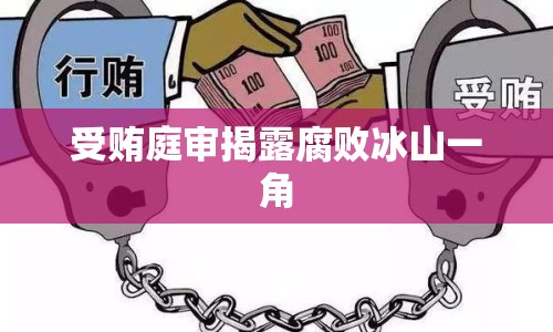 受賄庭審揭露腐敗冰山一角