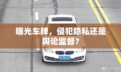 曝光車牌，侵犯隱私還是輿論監(jiān)督？