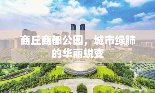 商丘商都公園，城市綠肺的華麗蛻變