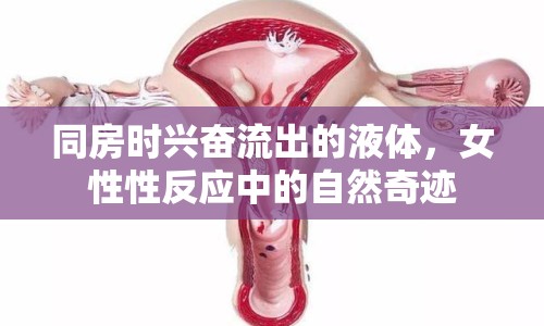 同房時興奮流出的液體，女性性反應(yīng)中的自然奇跡