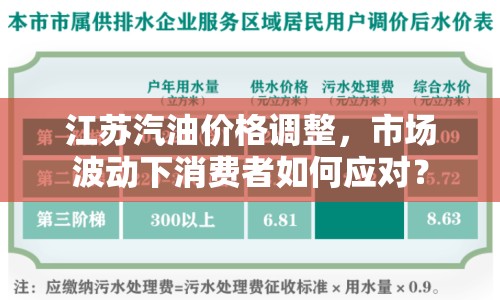 江蘇汽油價格調(diào)整，市場波動下消費者如何應(yīng)對？