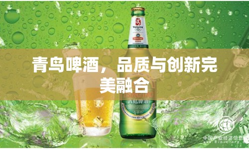 青鳥啤酒，品質(zhì)與創(chuàng)新完美融合