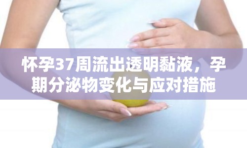 懷孕37周流出透明黏液，孕期分泌物變化與應(yīng)對措施