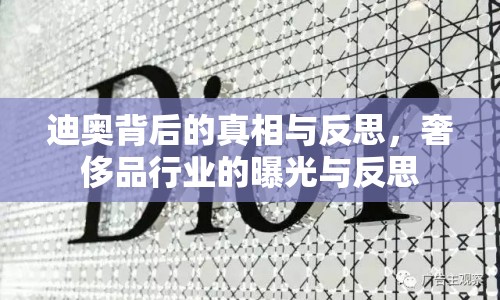 迪奧背后的真相與反思，奢侈品行業(yè)的曝光與反思