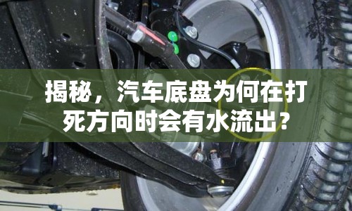 揭秘，汽車底盤為何在打死方向時會有水流出？