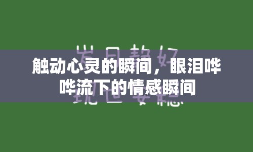 觸動心靈的瞬間，眼淚嘩嘩流下的情感瞬間