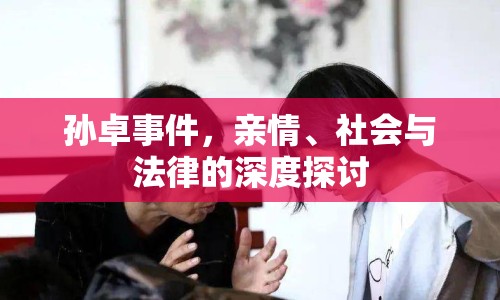 孫卓事件，親情、社會(huì)與法律的深度探討