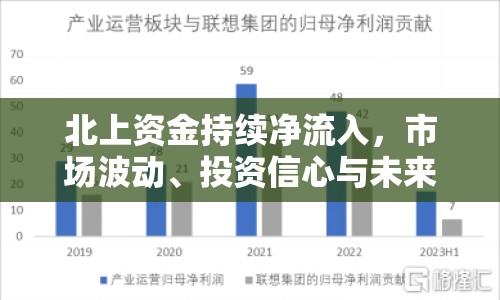 北上資金持續(xù)凈流入，市場波動(dòng)、投資信心與未來展望