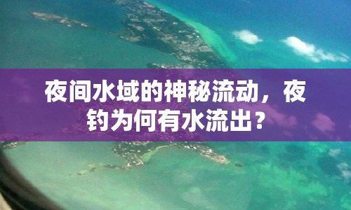 夜間水域的神秘流動，夜釣為何有水流出？