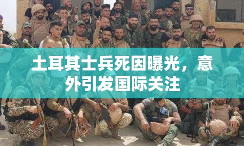 土耳其士兵死因曝光，意外引發(fā)國際關(guān)注