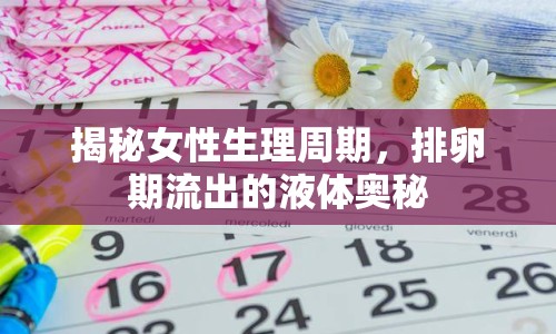 揭秘女性生理周期，排卵期流出的液體奧秘