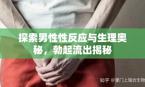 探索男性性反應(yīng)與生理奧秘，勃起流出揭秘