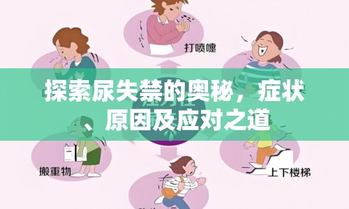 探索尿失禁的奧秘，癥狀、原因及應對之道