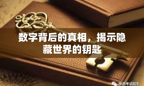 數(shù)字背后的真相，揭示隱藏世界的鑰匙