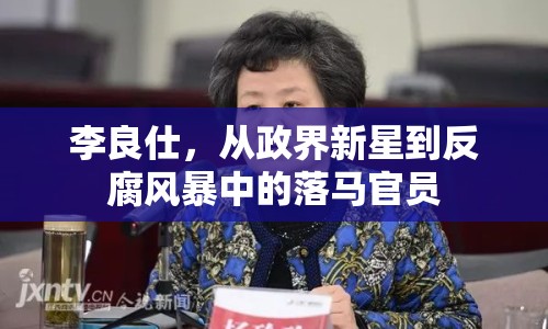 李良仕，從政界新星到反腐風暴中的落馬官員