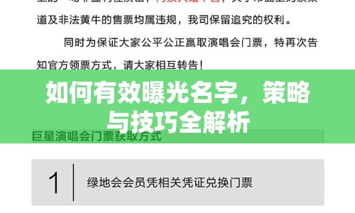 如何有效曝光名字，策略與技巧全解析