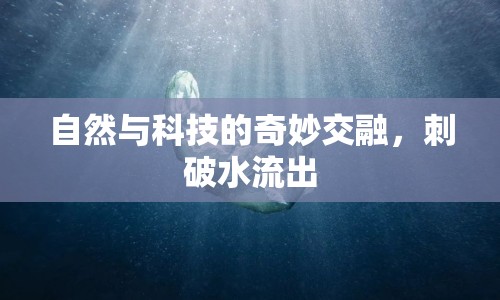 自然與科技的奇妙交融，刺破水流出