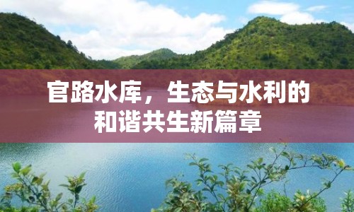 官路水庫，生態(tài)與水利的和諧共生新篇章