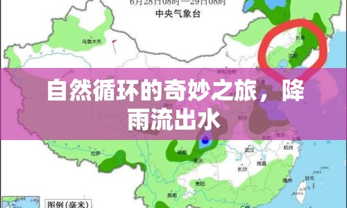 自然循環(huán)的奇妙之旅，降雨流出水