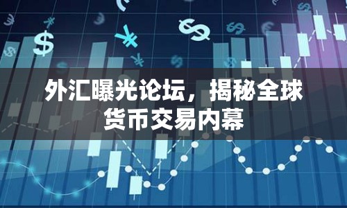 外匯曝光論壇，揭秘全球貨幣交易內(nèi)幕