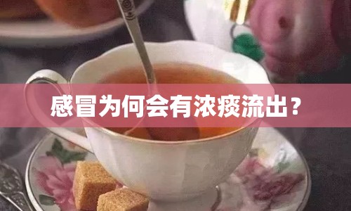 感冒為何會(huì)有濃痰流出？